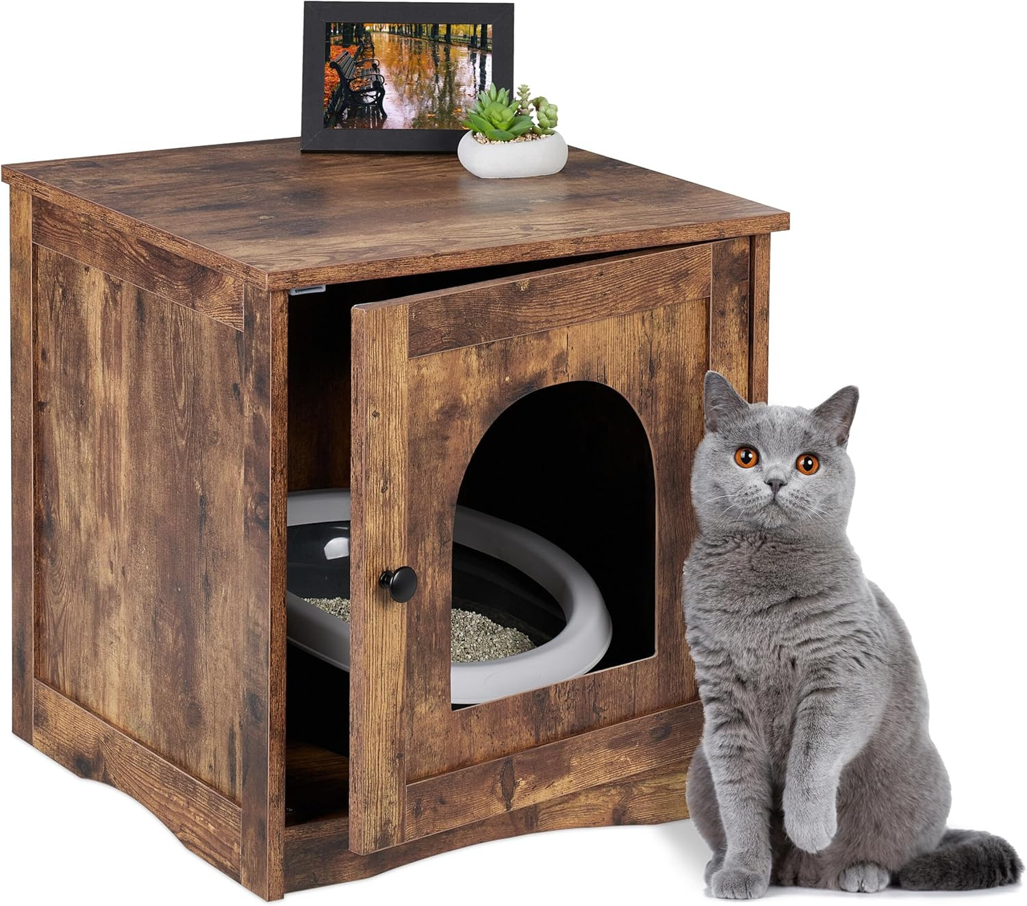 Mobile Lettiera per Gatti, Armadietto Con Porta Ingresso Aperto, HLP 50X48X50 Cm