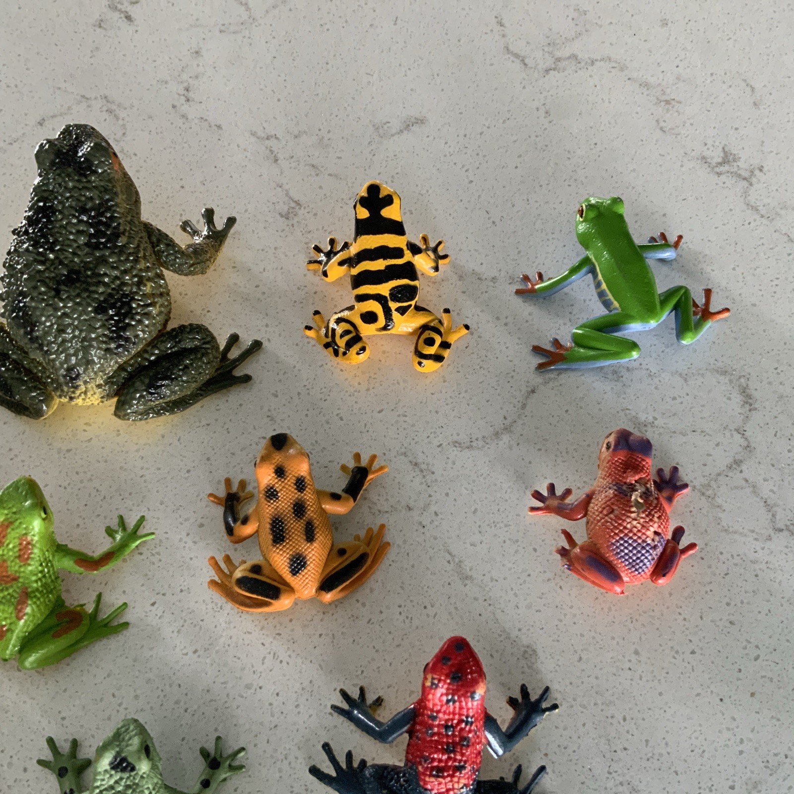 Safari Ltd + W. N. Made In China Collectible Set Of 15 Poison Dart Frogs Vintage