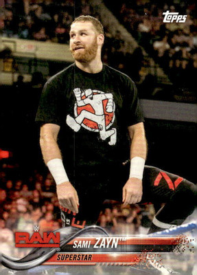 Sami様　2点おまとめ Sami Zayn 2018 Topps WWE Then Now Forever - #169 - | eBay