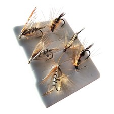 Nymphen Trockenfliegen 6er Set  Forellen Fischen Insekten Angeln Feder Bionic