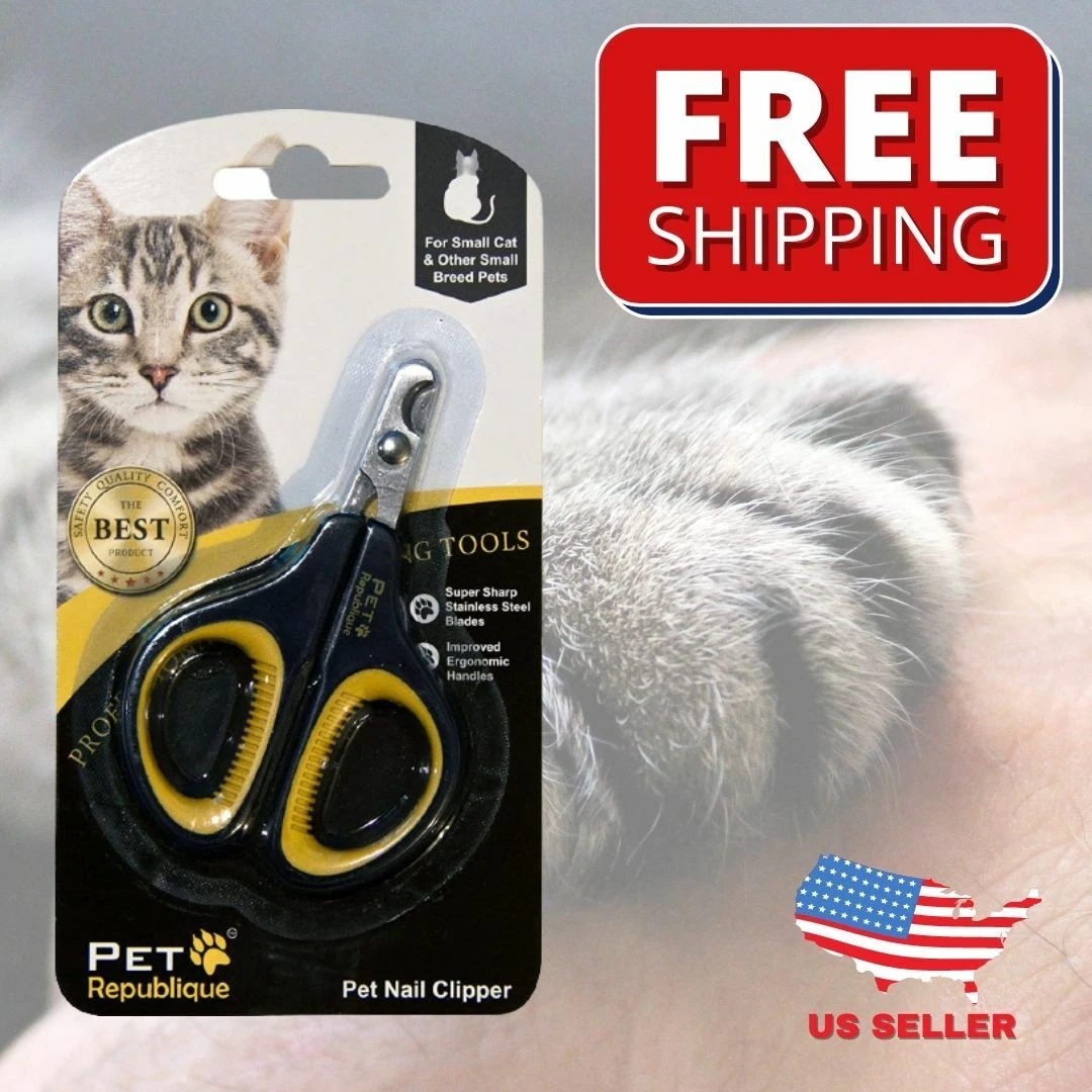 Aggregate 124+ kitten nail clippers best songngunhatanh.edu.vn
