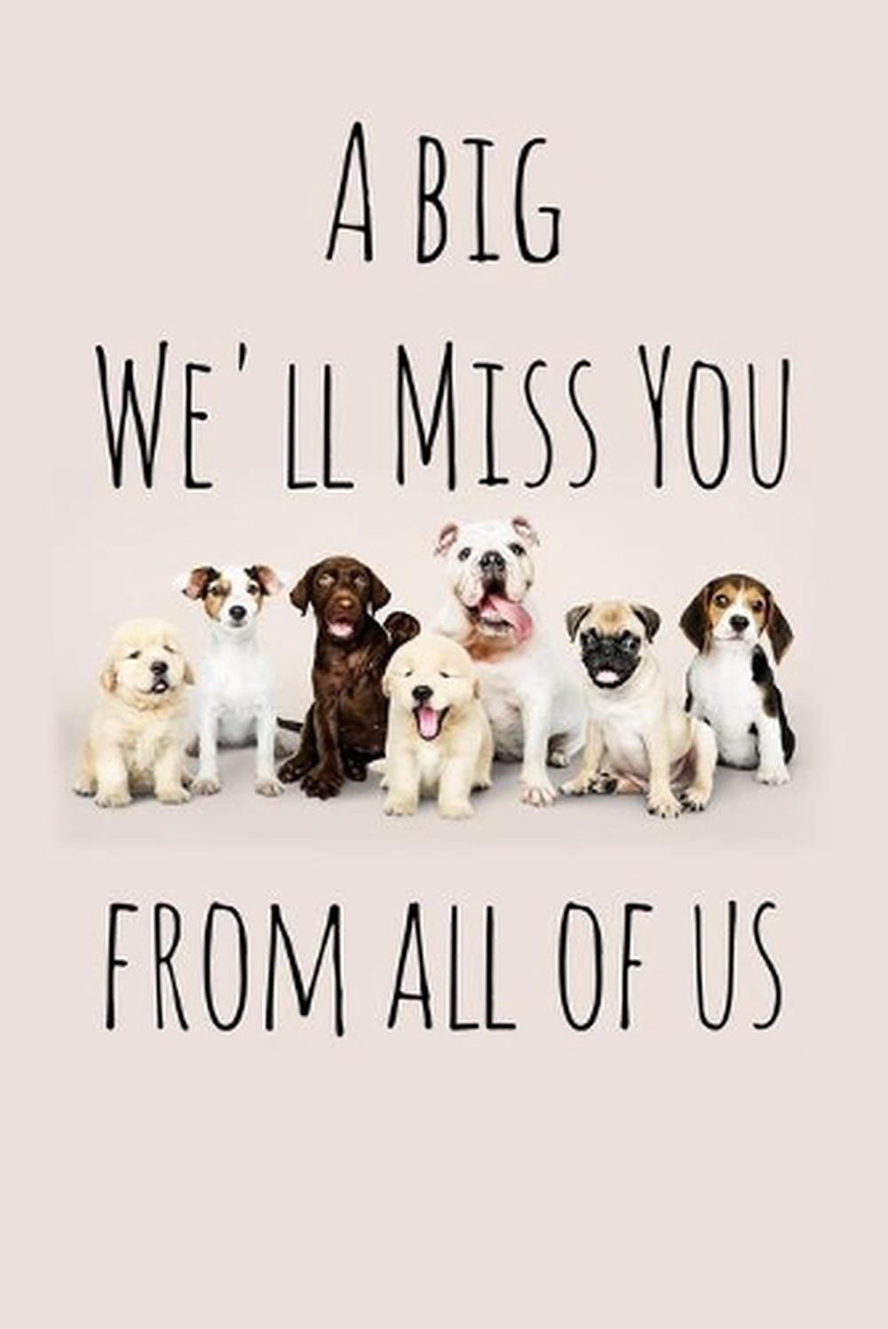 A big We'll Miss You from all of us: Perfect goodbye gift for coworker that is l