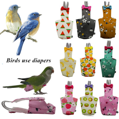 Unterwäsche Vogel Windel Unterhose Pee Pad für Papagei Nymphensittiche Sittiche.