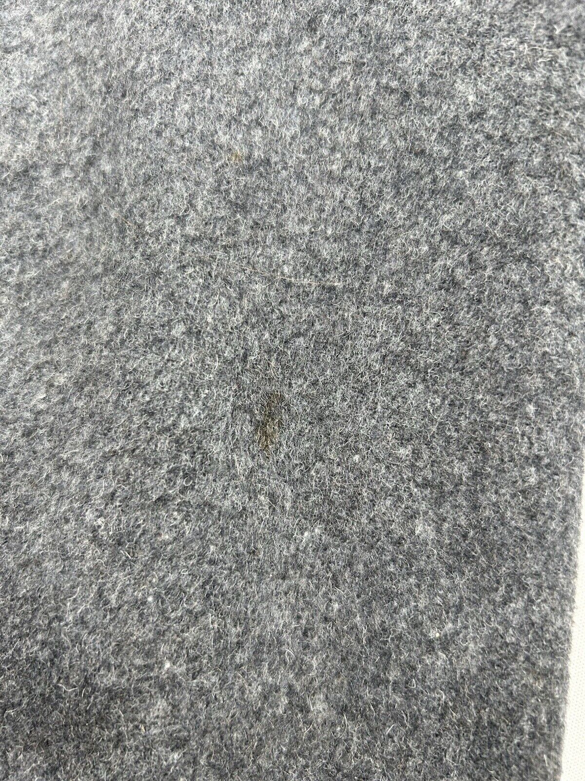 Foto 15 di 16