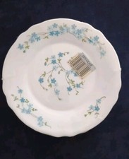 Piatti Dessert Arcopal Veronica Myosotis Vintage Nuovi 