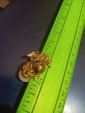 Hat / Lapel Pin- Silver And Brass Colored Eagle Globe And Anchor EGA (25-1382)