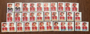 Panini FIFA World Cup 2026 CAN Canada Player Portrait Stickers Lot of 32