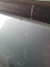 Porte avant et accessoires Nissan ALMERA TINO