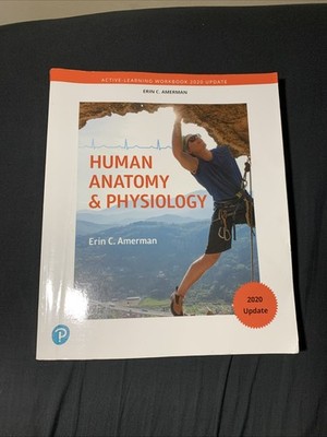 Active-Learning Workbook for Human - Paperback, by Amerman Erin - Very Good