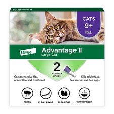 Advantage II Large Cat Vet-Recommended Flea Treatment 2-Pack, only