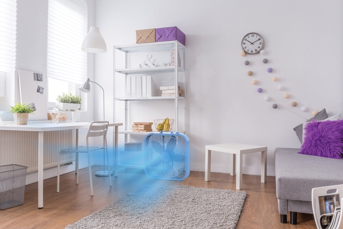 20 Inch Fan Pack) Lasko Cool Colors 20