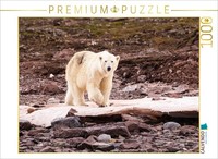 Calvendo Puzzle Polar Bear | 1000 Pieces, Finished Size 25.2 × 18.9 In (64 × 48