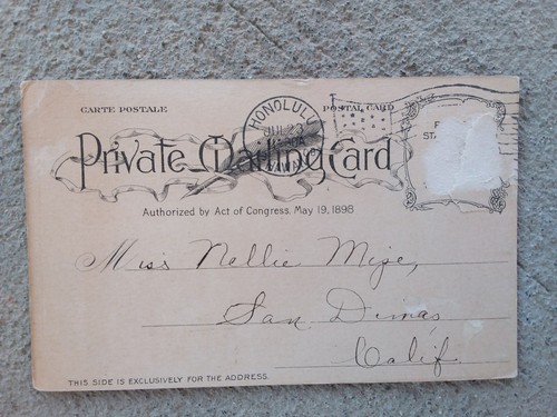Antique 1908 "Hawaiian Girl" Postcard Island Woman History Collect Eph Vintage - Picture 2 of 2