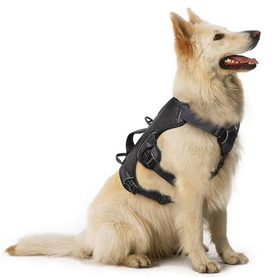 rabbitgoo harness