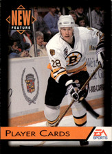 1994 EA Sports NHL '94 Mail-In Player Cards Glen Wesley #207