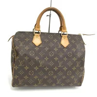 LOUIS VUITTON Speedy Handbag Monogram Brown