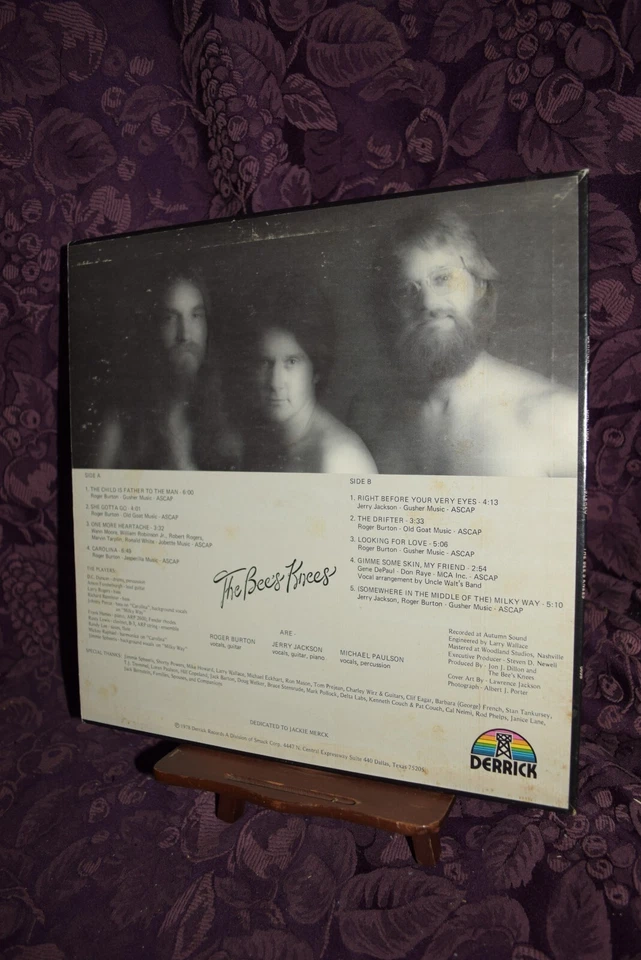 THE BEE'S KNEES s/t RARE '79 TEXAS YACHT  ROCK Anson Funderburgh VG+/VG++ Foto 3 de 4