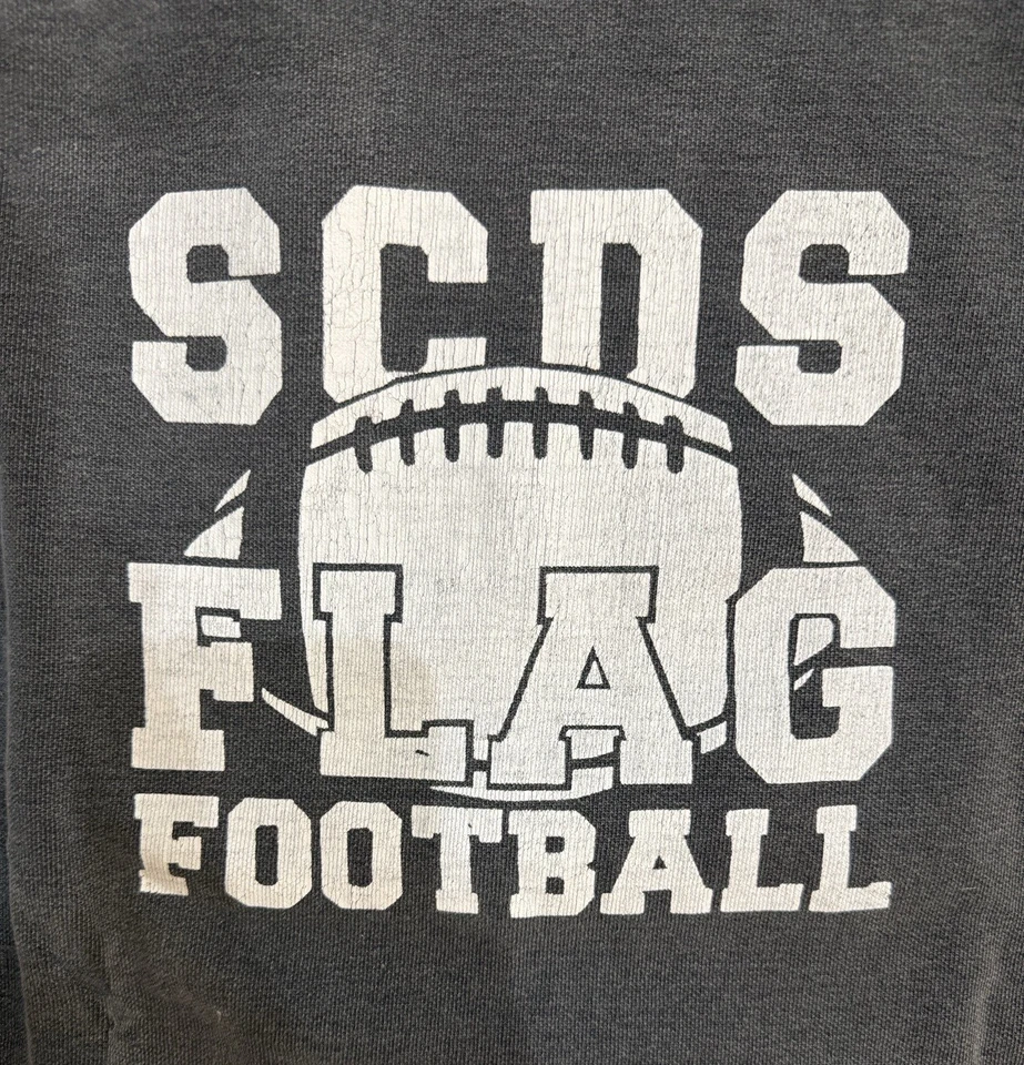 Толстовка женская футбольная с флагом SCDS маленькая серая с белыми буквами - Изображение 2 из 4