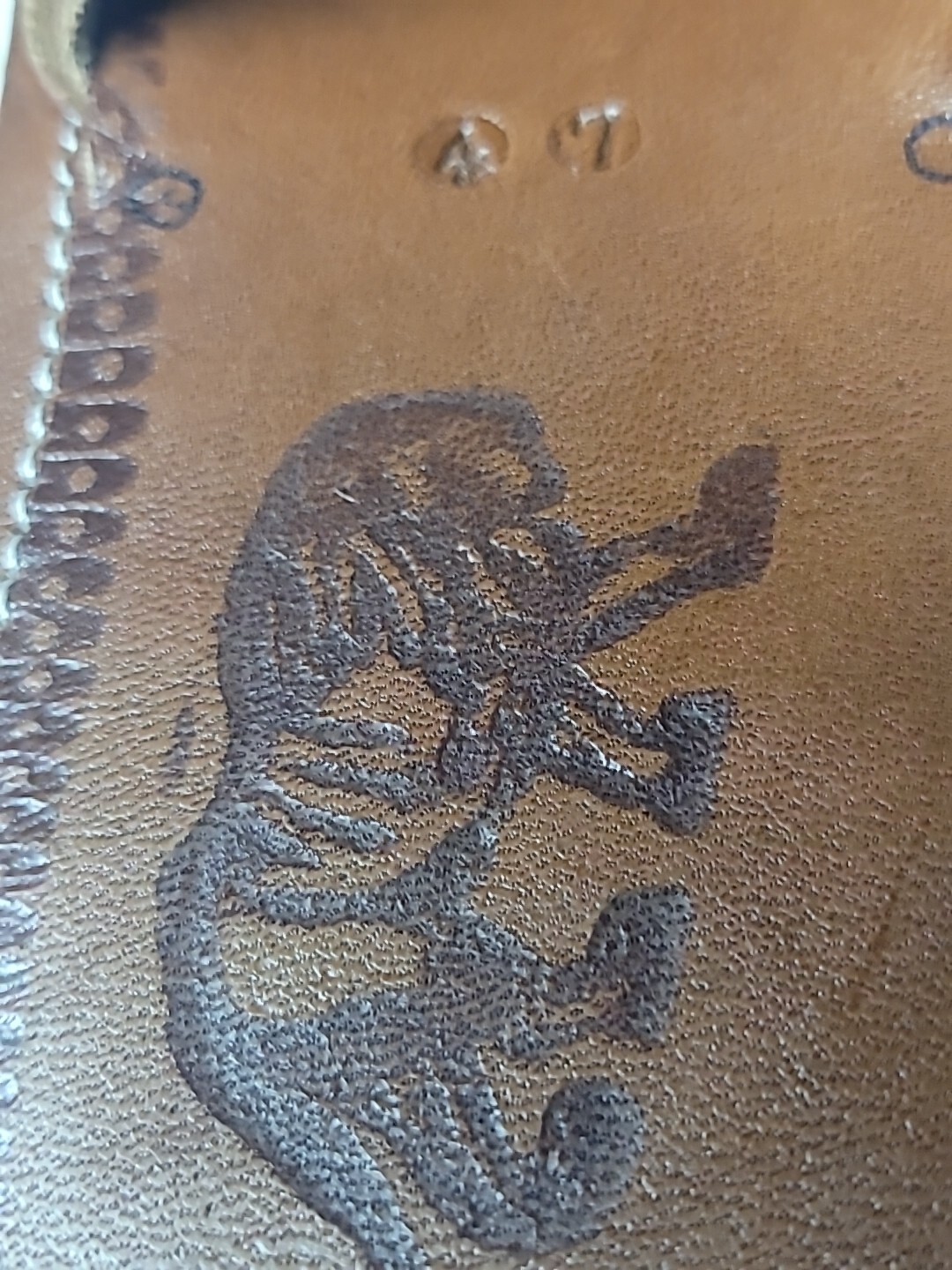 Picture 11 of 11