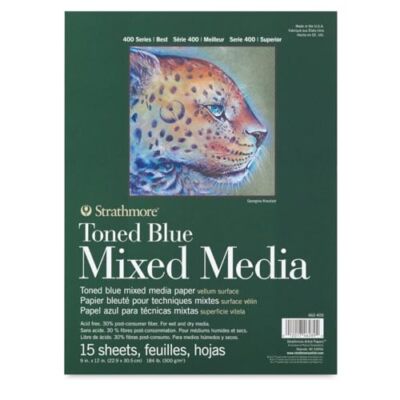 Strathmore Toned Mixed Media Paper  Assorted Colors , Sizes , Pattern Names 