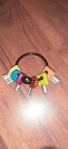 critter clinic replacement keys