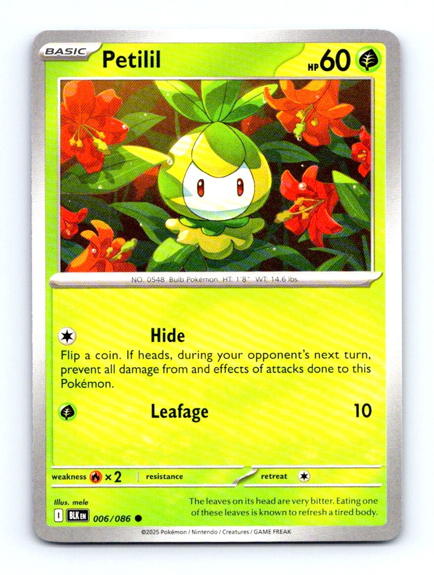 #6 2025 Pokemon Black Bolt - Petilil BASE