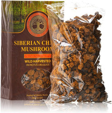 Siberian Chaga Mushroom Chunks, Premium Quality, Wild Harvested, 100 Grams 3.5