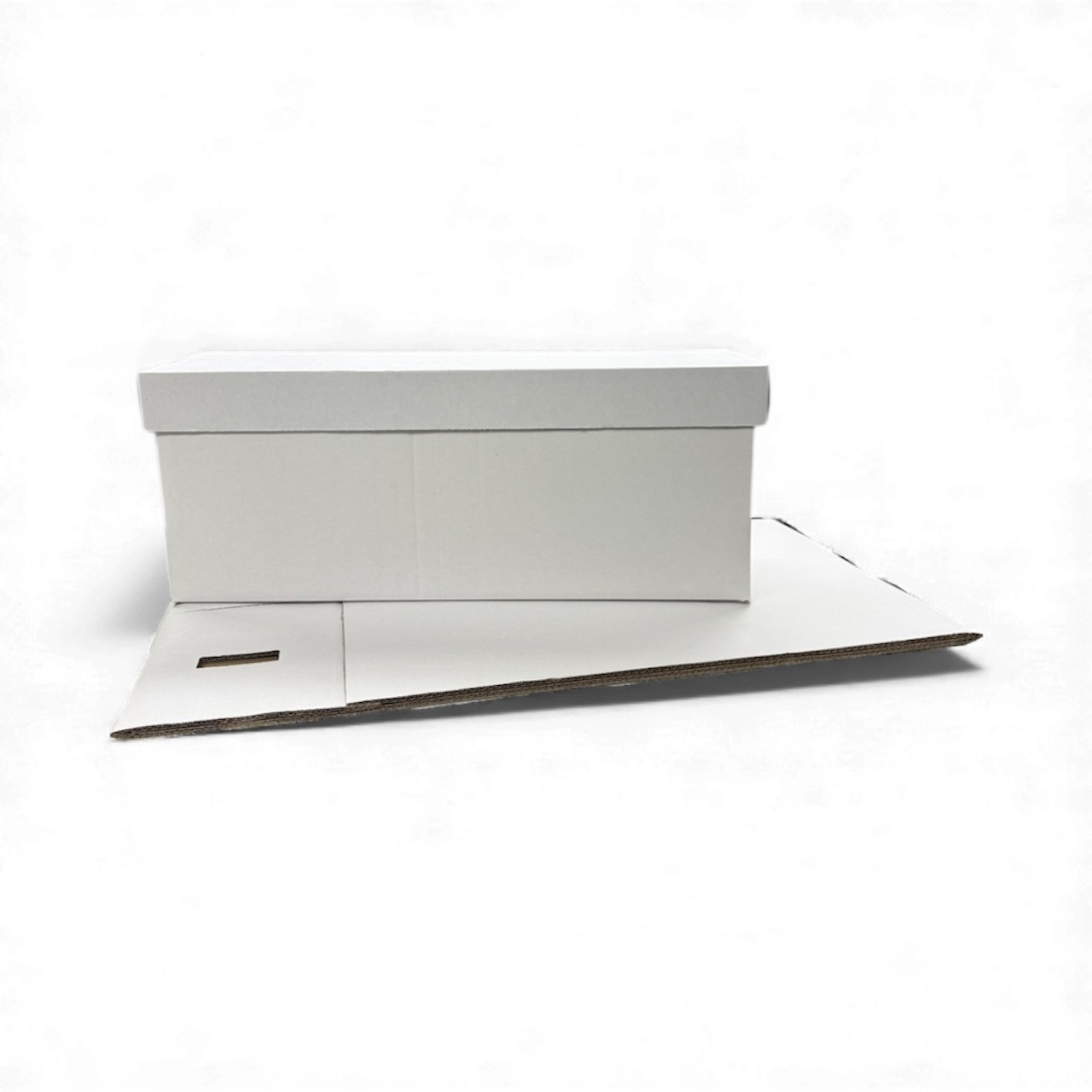 2 Long Comic Book Box • Comic Storage Boxes Holds 200–225 Comics Box Woodhaven alternate view 5