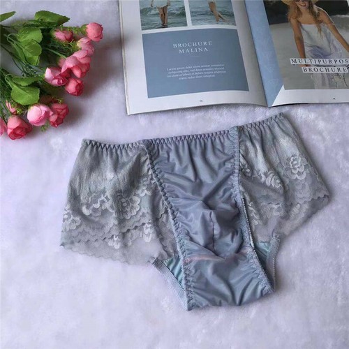 Erotic sheer bikini panties with pouch men's underwear 2 colors eBay