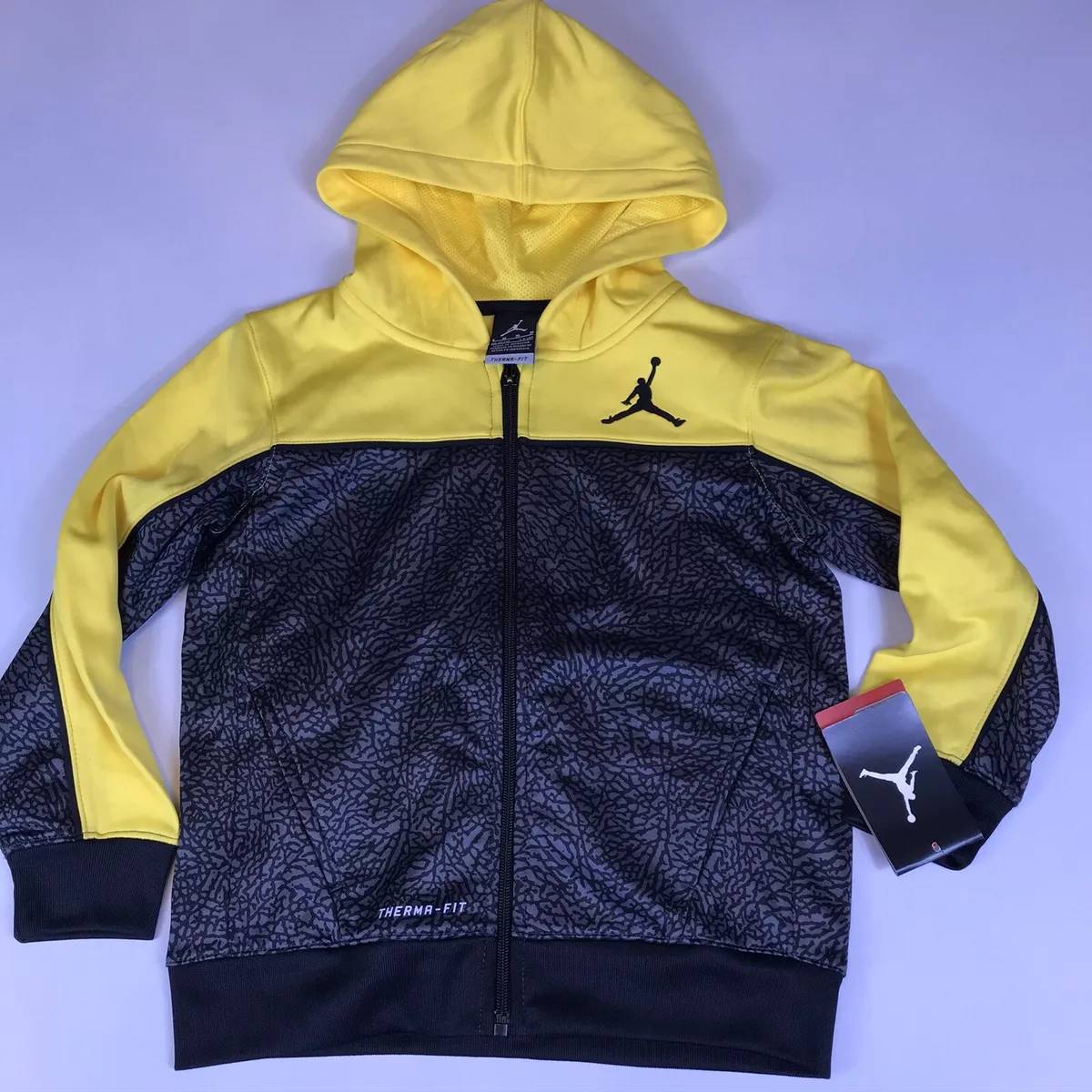 Jordan aj deals 6 hoodie