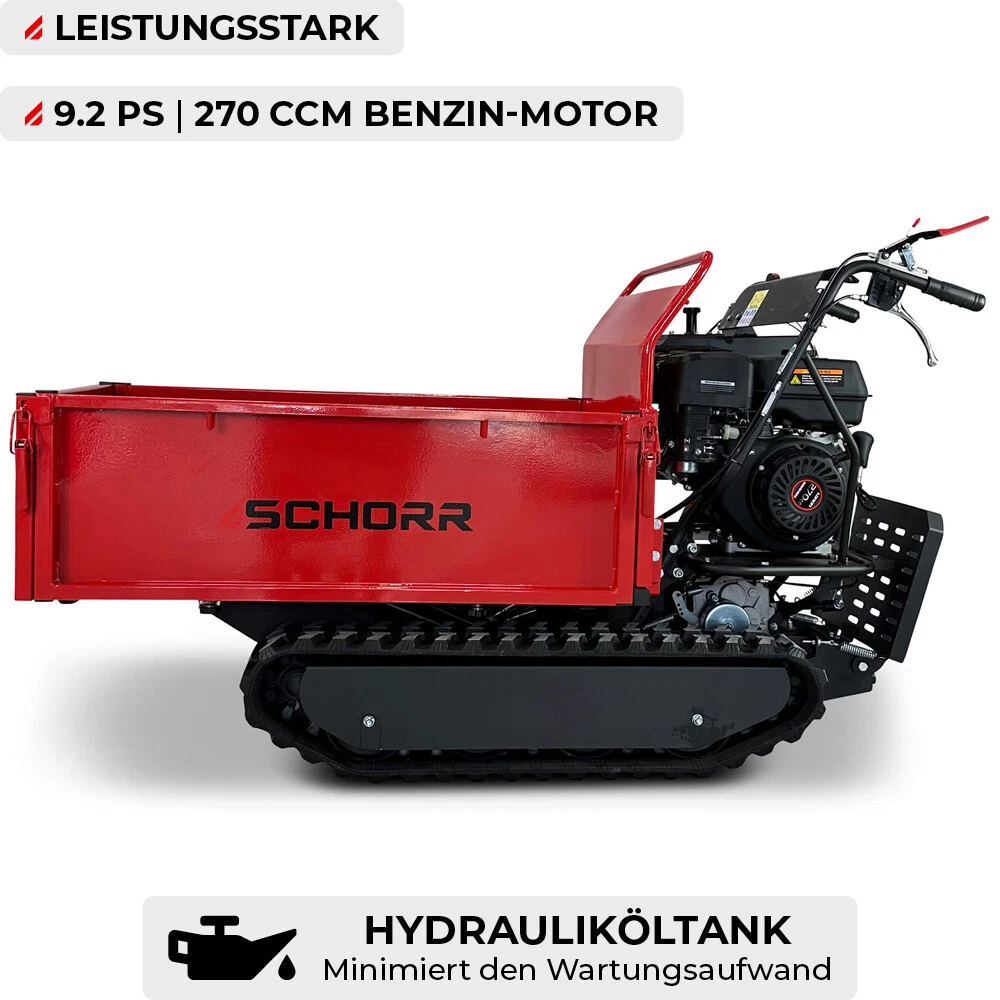 Bild 9 von 12