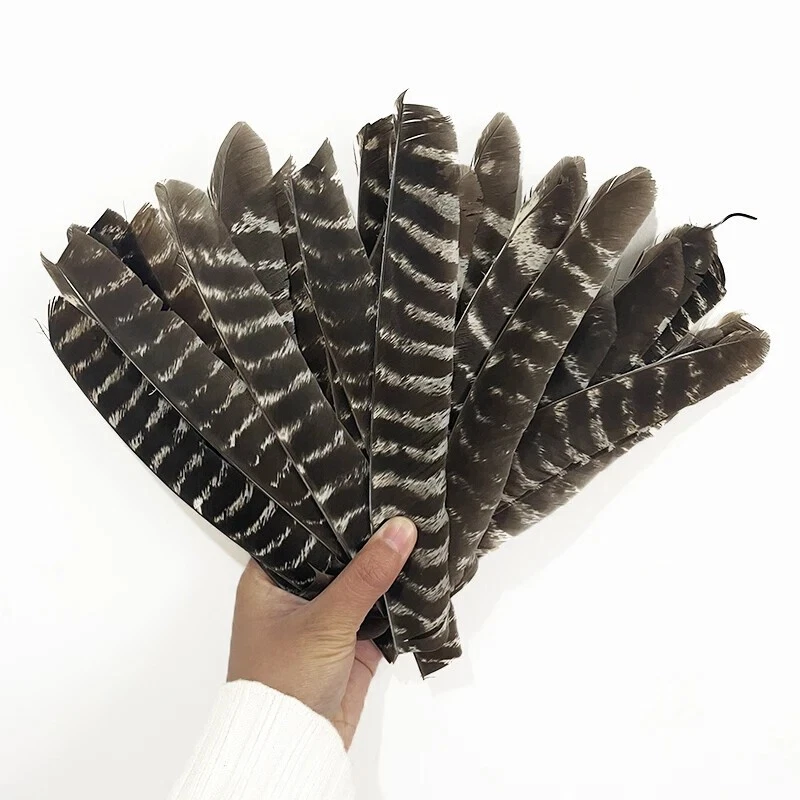 Full Length Archery Natural Turkey Feather Fletching Right Left Wings DIY Arrows - Image 3 of 4