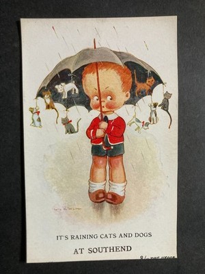 Es regnet Katzen & Hunde in Southend Essex Vintage Postkarte U9