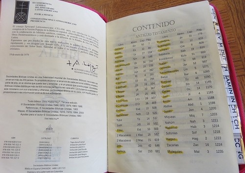 Holy Bible in SPANISH with Deuterocanonicals FUCHSIA ZIPPER 2000 dios habla hoy - Foto 6 di 10