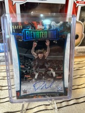 2025 Topps Exalted WWE Wrestling Checklist Guide in-content 40
