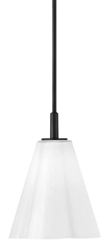 Lark 83717 Honey 1 Light 11"W Pendant - Black - Picture 1 of 6
