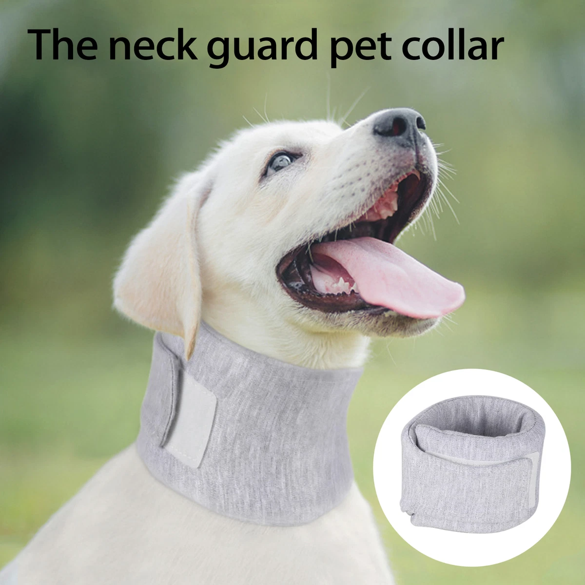Dog neck collar clearance after surgery