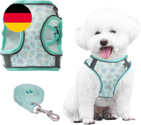 No-Pull-Hundegeschirr Und Leine-Set, Step-In-Blumendruck, Verstellbares, Atmungs-image