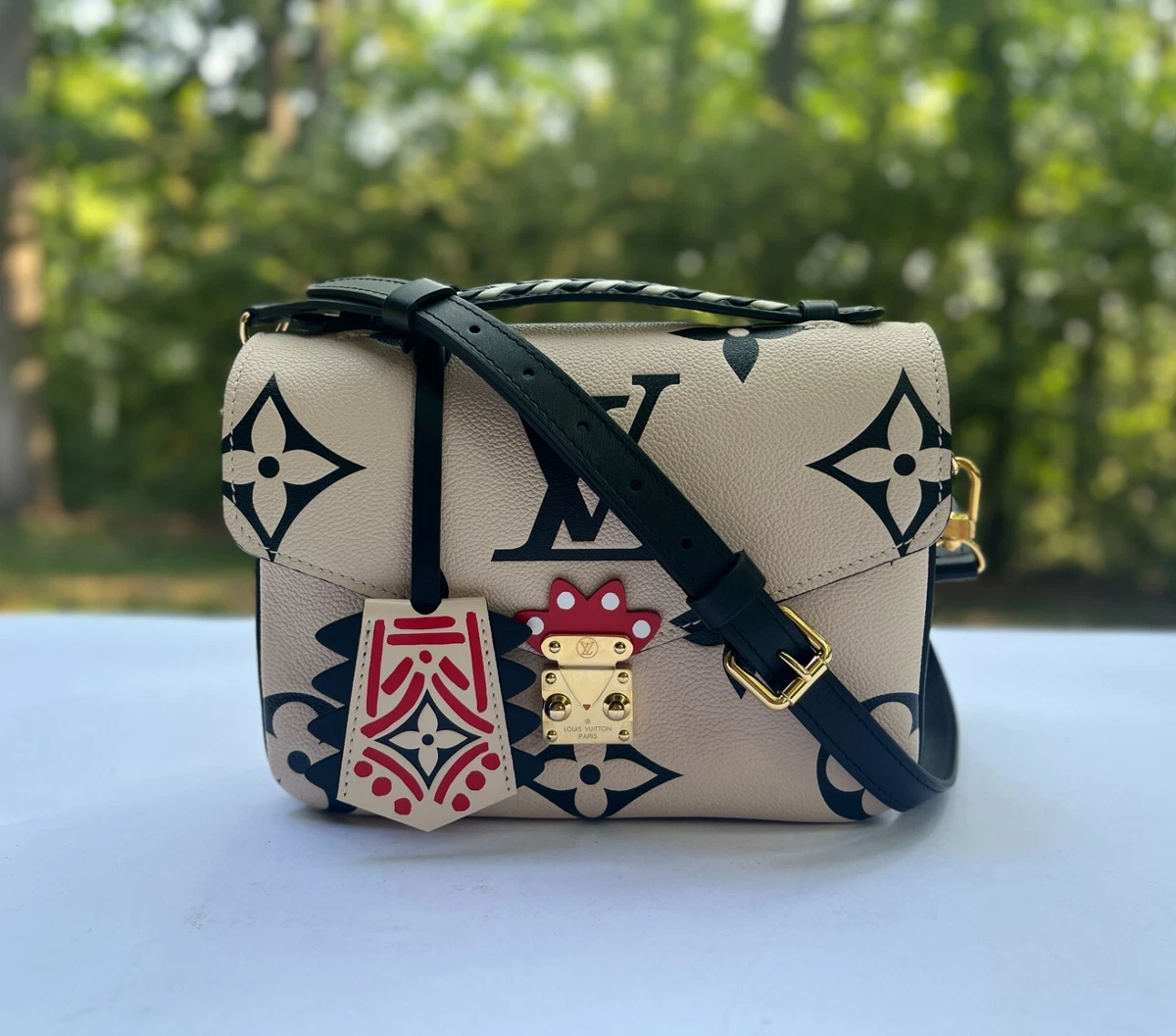 LV Metis Pochette Bag organizer