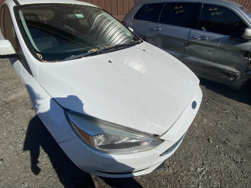 Used Hood fits: 2015 Ford Focus gasoline models Grade A - Image 3 of 4