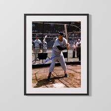 Ted Williams Autograph Print - In the Batting Cage - Sweet Science