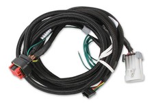 80002 Msd Efi And Ls Harness - Pro 600