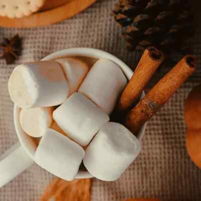 Vanilla Pumpkin Marshmallow Type Fragrance Oil for candle/soap making