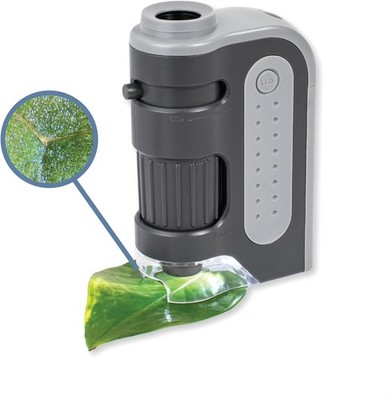 Mikroskop Pocket Carson MM-300 Microbrite plus 60 -120X LED beleuchtet grau