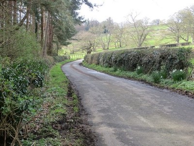 Photo A3 Road to Sandhoe Looking north-westward. c2017