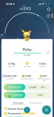 Pokemon Go Shiny Pichu Flower Crown