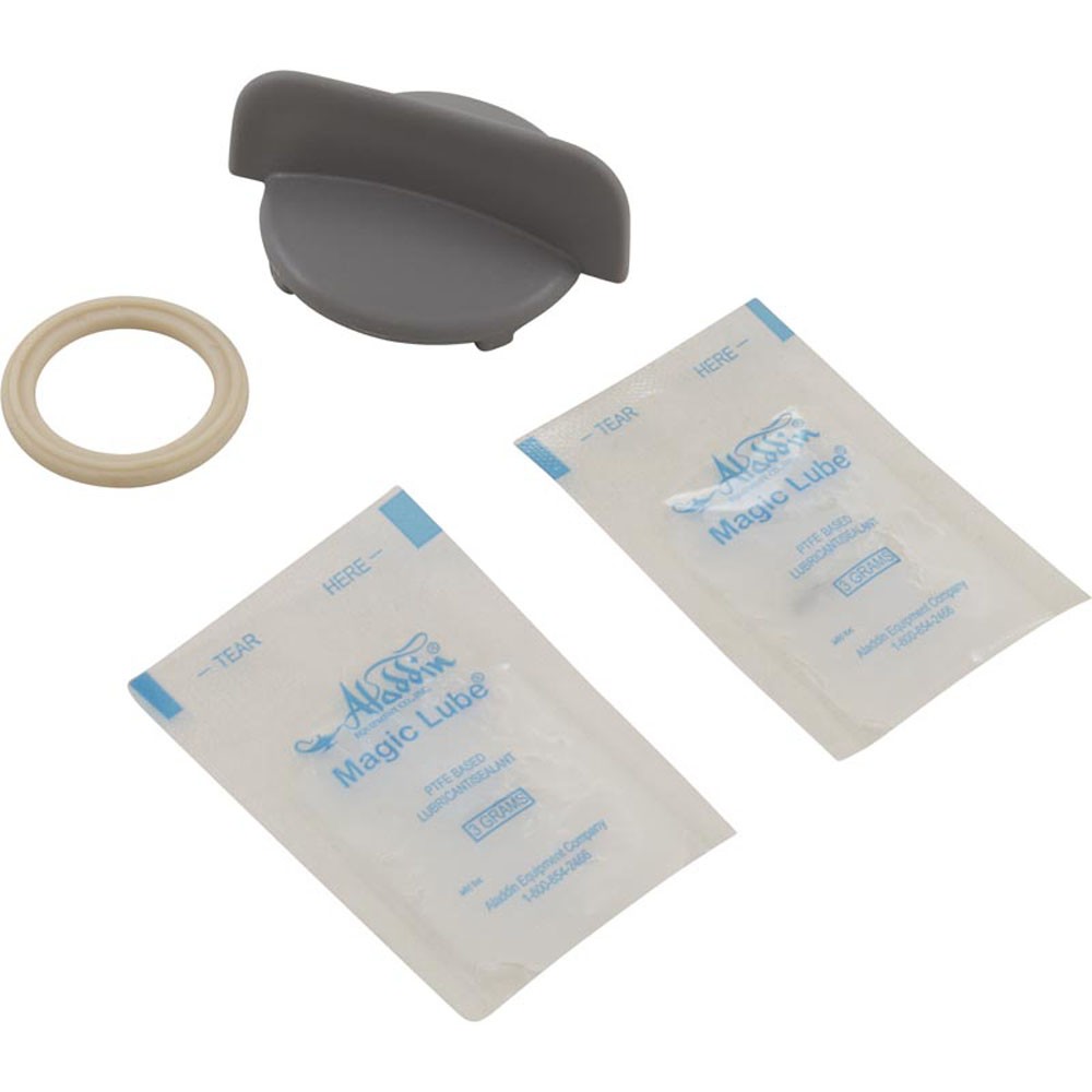 Pentair 620057 O-Ring Replacement Kit, GloBrite, OEM