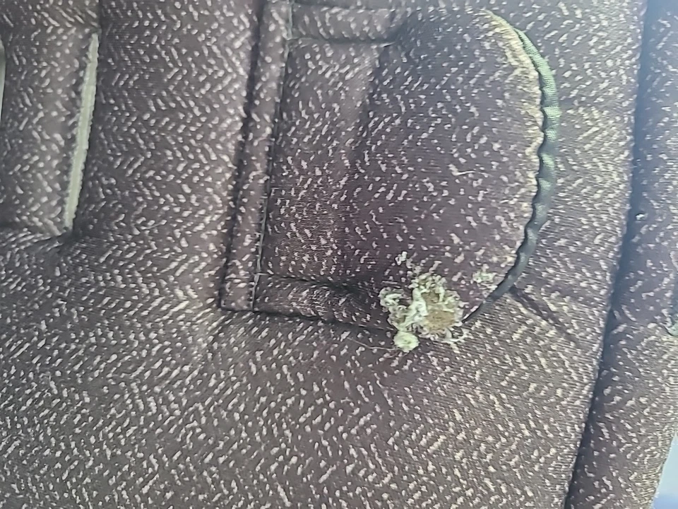 LEER Evenflo Litemax Safemax Bebé Infante Asiento Cubierta Tela Acolchado Carbón. Foto 4 de 4