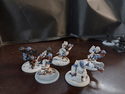 Warmachine Hordes Trollkin Champions Einheit Metall