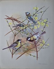 SALE! Vintage bird book plate print, basil ede, blue tit & great tit